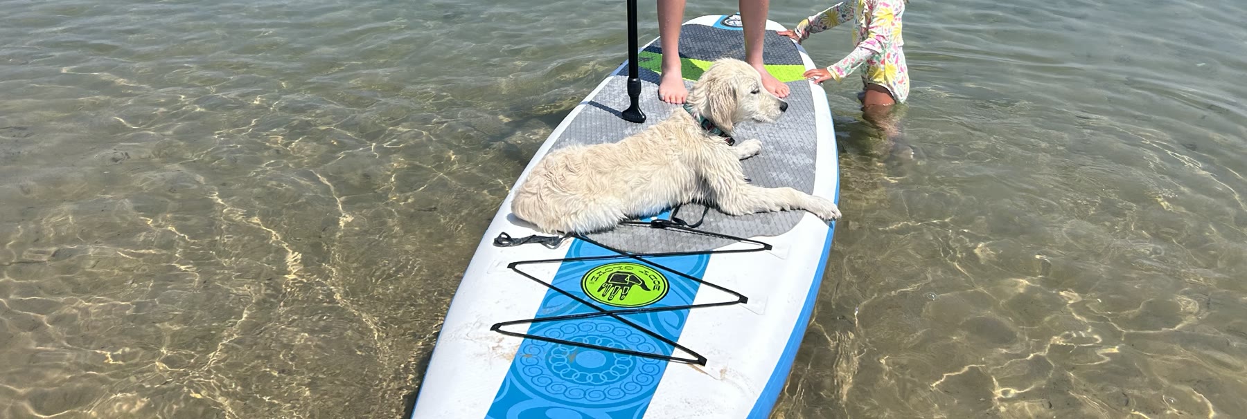 Cam relaxing on a paddleboard in clear shallow water
